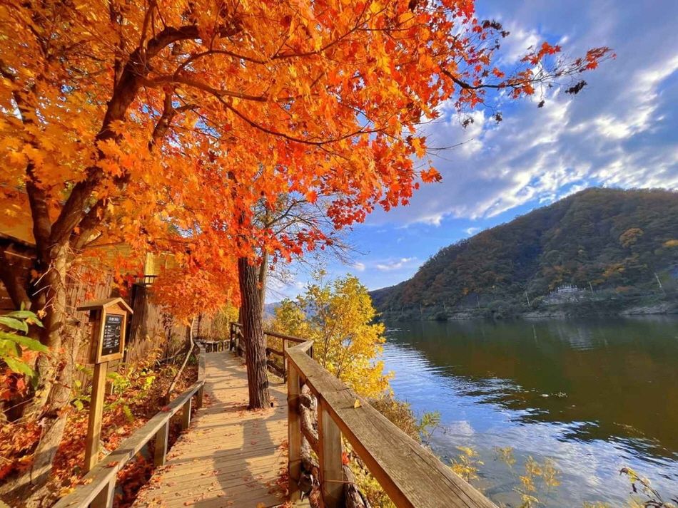 Nami Island (Namiseom)