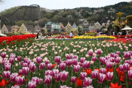 Everland Theme Park